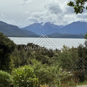 Lake and surrounding forest under soft light. Te Anau, New Zealand.