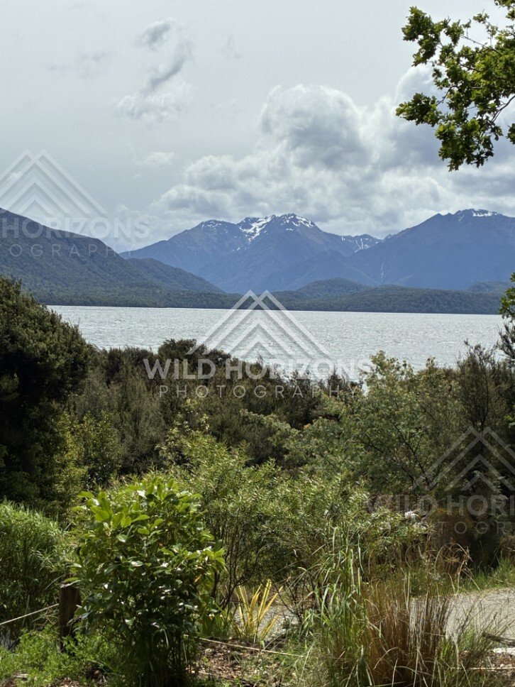 Lake and surrounding forest under soft light. Te Anau, New Zealand.