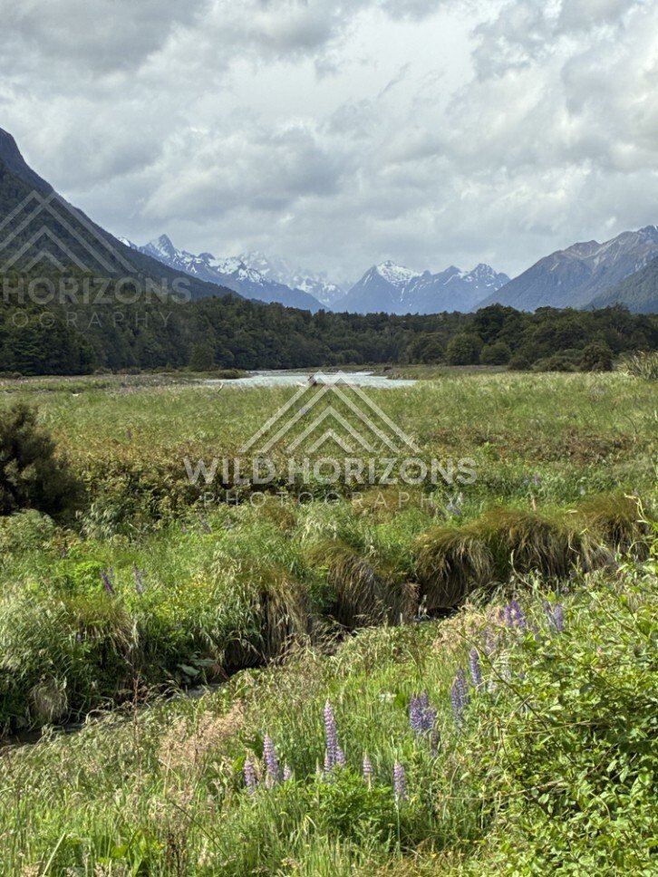 River Flats and Snow-Capped Peaks in the Eglinton Valley. Milford Road, New Zealand.