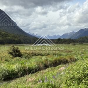 Wide Wetlands and River Channel in the Eglinton Valley. Milford Road, New Zealand.