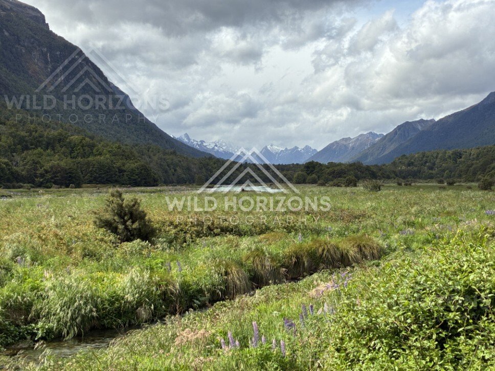 Wide Wetlands and River Channel in the Eglinton Valley. Milford Road, New Zealand.