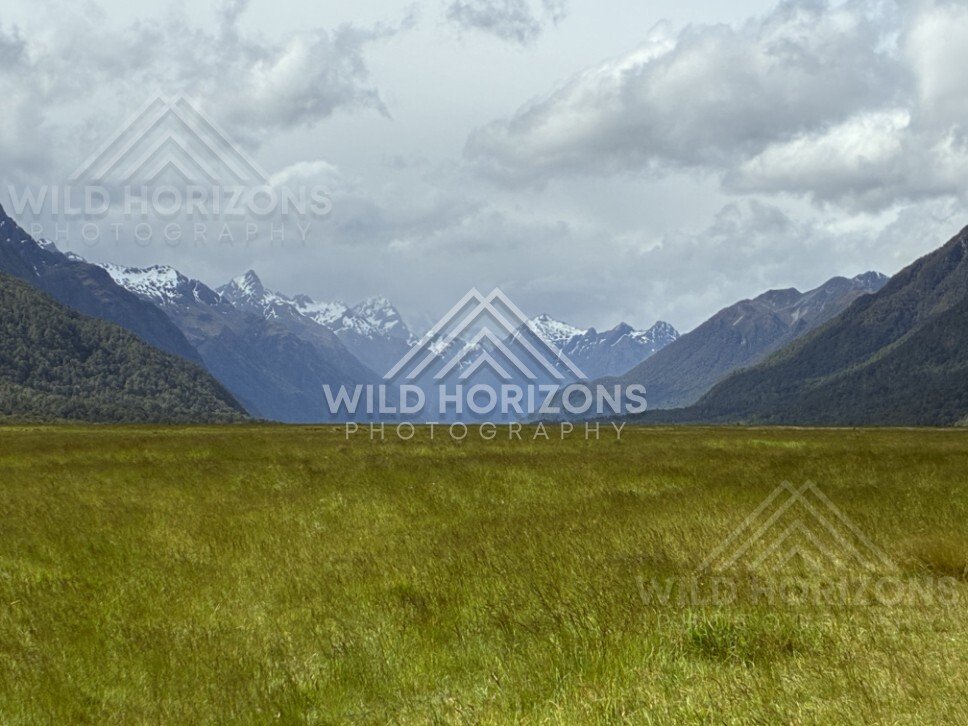 Tussock Plain Leading to Snowy Fiordland Ranges. Milford Road, New Zealand.