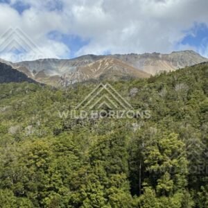 Forest Canopy Below a Fiordland Ridge Under Blue Sky. Milford Road, New Zealand.