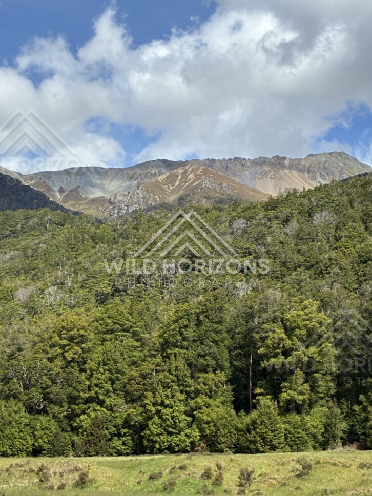 Forest Canopy Below a Fiordland Ridge Under Blue Sky. Milford Road, New Zealand.