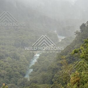 Misty River Gorge Through Fiordland Rainforest. Milford Road, New Zealand.