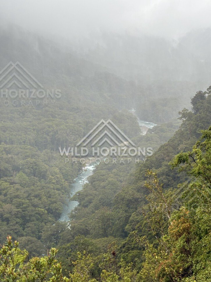 Misty River Gorge Through Fiordland Rainforest. Milford Road, New Zealand.