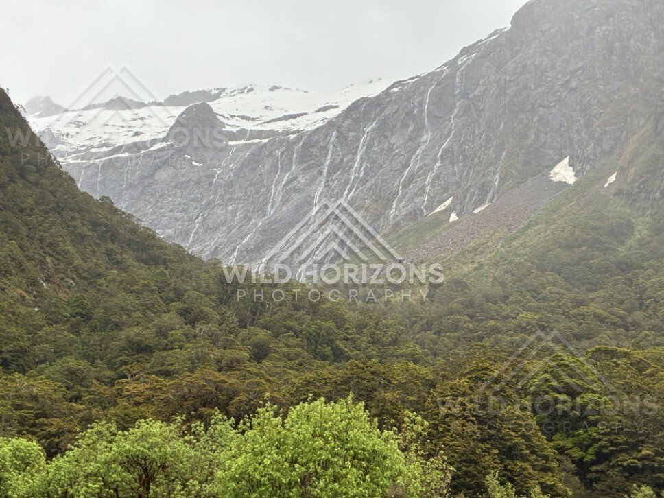 Waterfall Ribbons Across a Snow-Edged Fiordland Valley Wall. Milford Road, New Zealand.