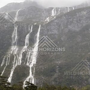 Multiple Waterfalls Pouring Down a Fiordland Mountainside in Rain. Milford Road, New Zealand.