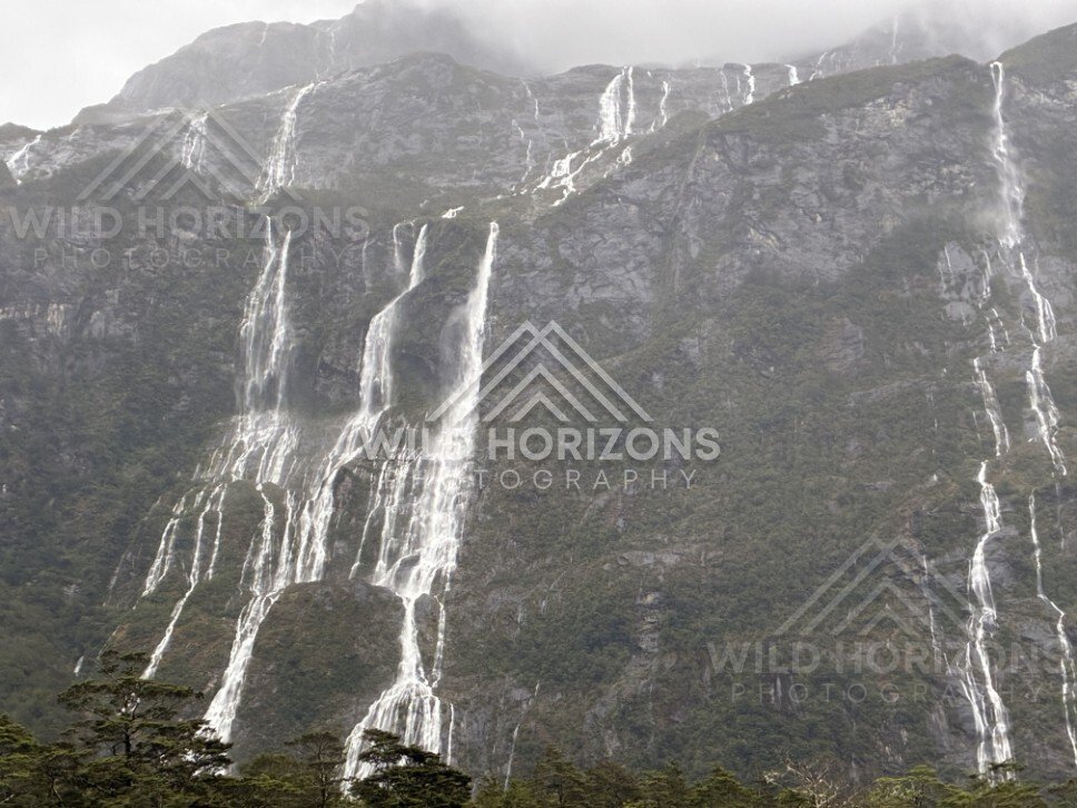 Multiple Waterfalls Pouring Down a Fiordland Mountainside in Rain. Milford Road, New Zealand.
