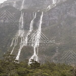 Tall Waterfall Columns on a Fiordland Cliff Face After Heavy Rain. Milford Road, New Zealand.
