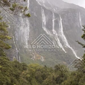 Rain-Fed Waterfalls on Sheer Fiordland Cliffs Framed by Trees. Milford Road, New Zealand.