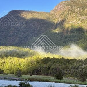 Sunlit Mountain Wall and Forested Slopes in the Valley. Milford Road, New Zealand.