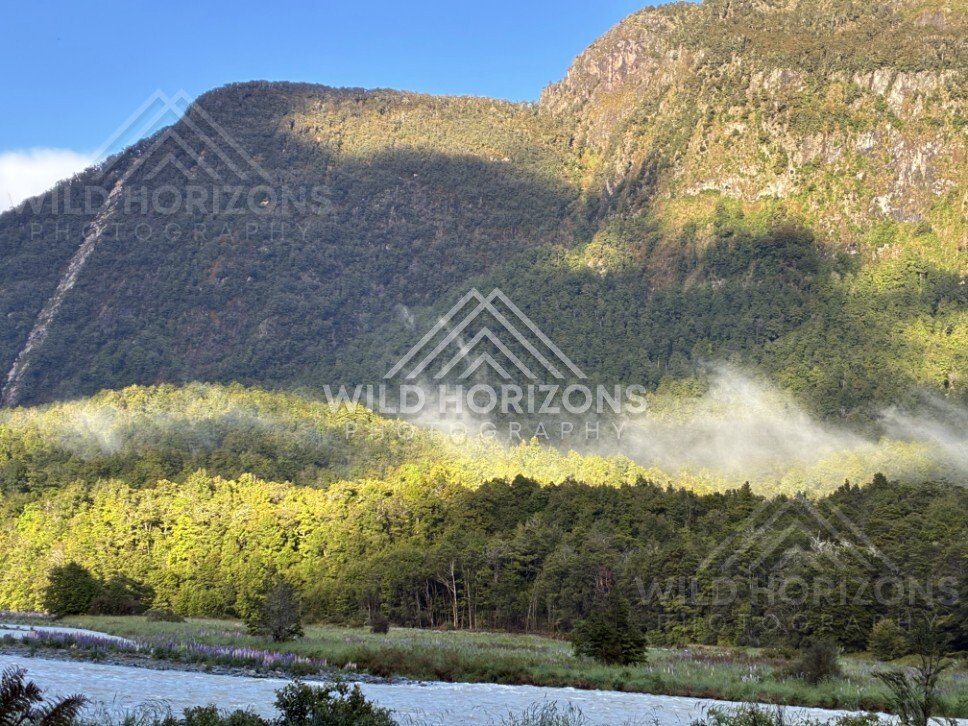Sunlit Mountain Wall and Forested Slopes in the Valley. Milford Road, New Zealand.