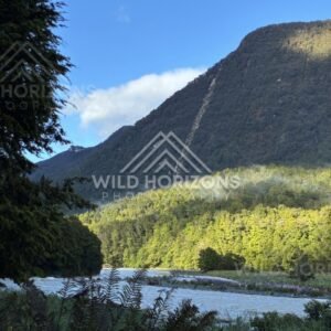 Low Mist Drifting Over Forest Beneath Steep Mountains. Milford Road, New Zealand.