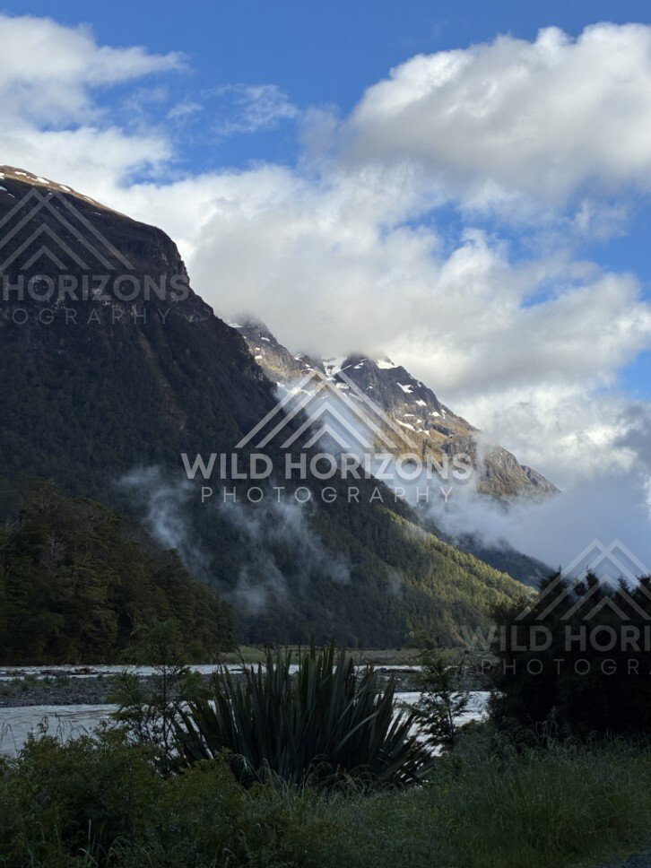 Valley River and Ferns Beneath Steep Forested Hills. Milford Road, New Zealand.