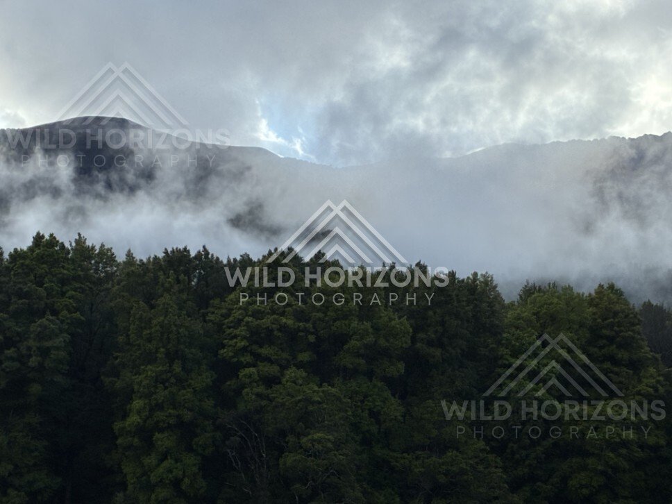 Wide Plain with Snowy Peaks and Rolling Cloud. Milford Road, New Zealand.