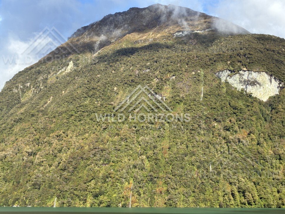 Steep Mountain Slope with Mist and Exposed Rock. Milford Road, New Zealand.