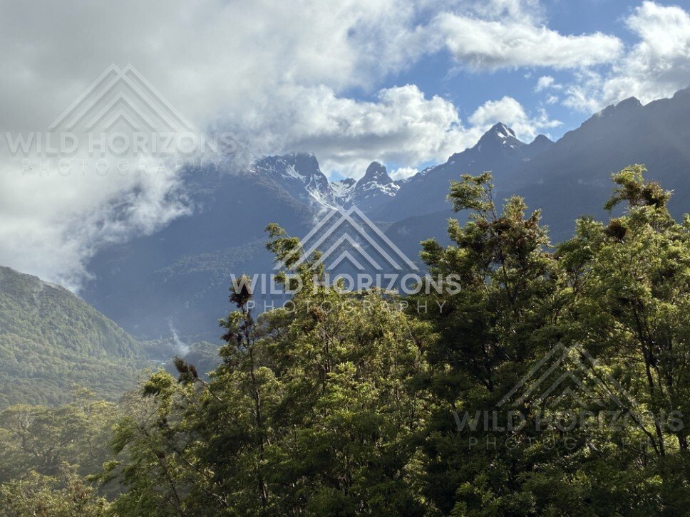 Snow-Dusted Peaks Beyond Forest Under Broken Cloud. Milford Road, New Zealand.