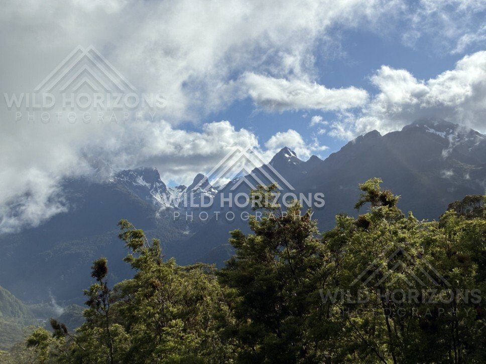 Mountain Peaks and Forest Under Lifting Cloud. Milford Road, New Zealand.