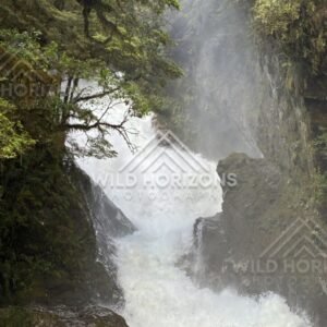 Powerful Waterfall Crashing Through a Narrow Gorge. Milford Road, New Zealand.