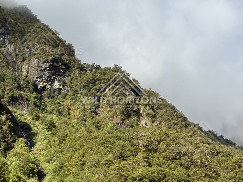 Forested Mountainside with Small Waterfall Under Heavy Cloud. Milford Road, New Zealand.