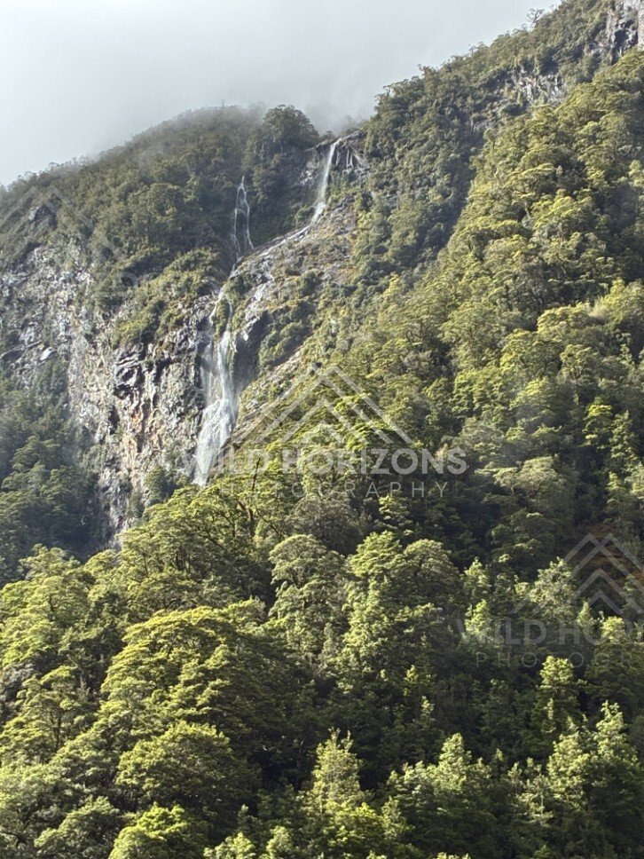 Large Waterfall on a Steep Forested Mountainside. Milford Road, New Zealand.