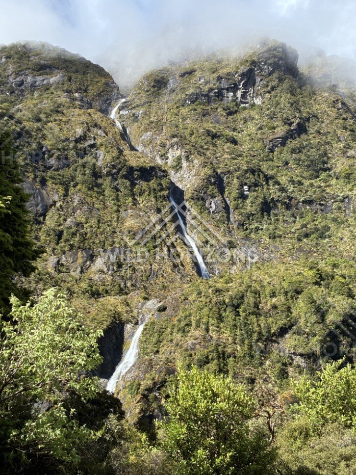Multiple Waterfalls on a Cloud-Wrapped Mountainside. Milford Road, New Zealand.