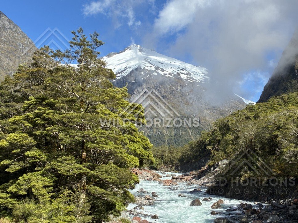 Turquoise River Rapids with Snow-Capped Peak Beyond. Milford Road, New Zealand.