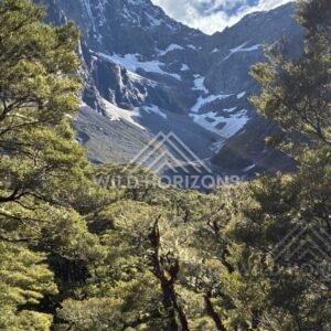 Rugged Alpine Basin with Patchy Snow Above Forest. Milford Road, New Zealand.