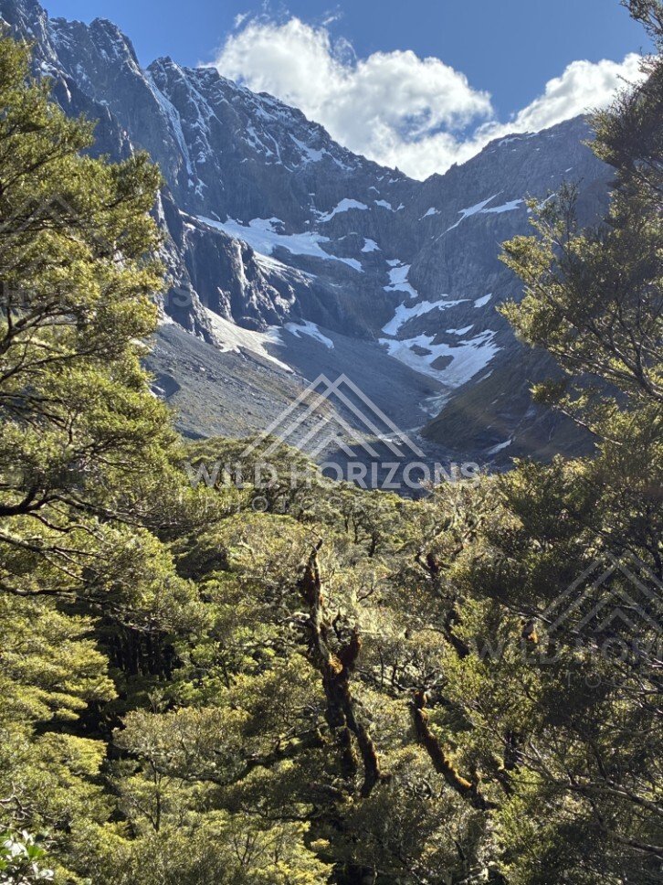 Rugged Alpine Basin with Patchy Snow Above Forest. Milford Road, New Zealand.