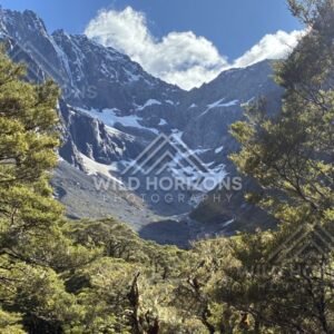 Steep Rock Amphitheatre with Snow Patches Above Forest. Milford Road, New Zealand.
