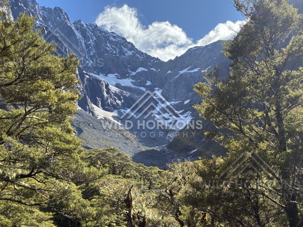Steep Rock Amphitheatre with Snow Patches Above Forest. Milford Road, New Zealand.