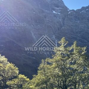 Dark Cliff Wall with Multiple Thin Waterfalls in Sun Haze. Milford Road, New Zealand.