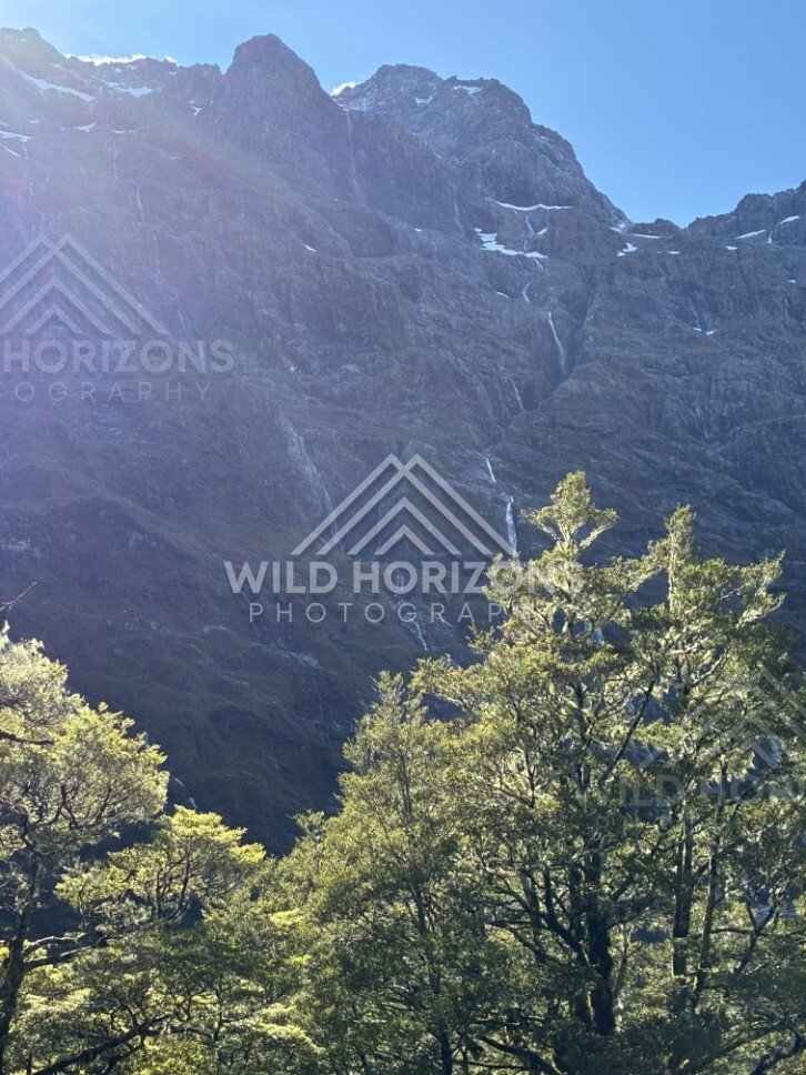 Dark Cliff Wall with Multiple Thin Waterfalls in Sun Haze. Milford Road, New Zealand.