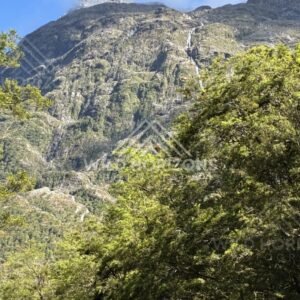 Steep Fiordland Mountainside with Thin Waterfalls Above Forest. Milford Road, New Zealand.