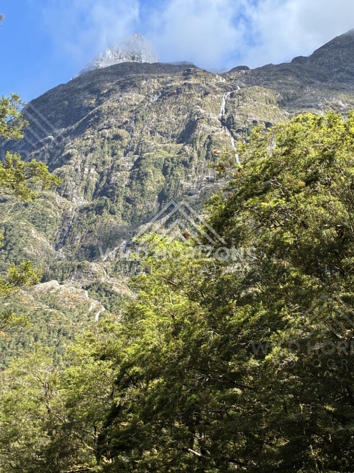 Steep Fiordland Mountainside with Thin Waterfalls Above Forest. Milford Road, New Zealand.