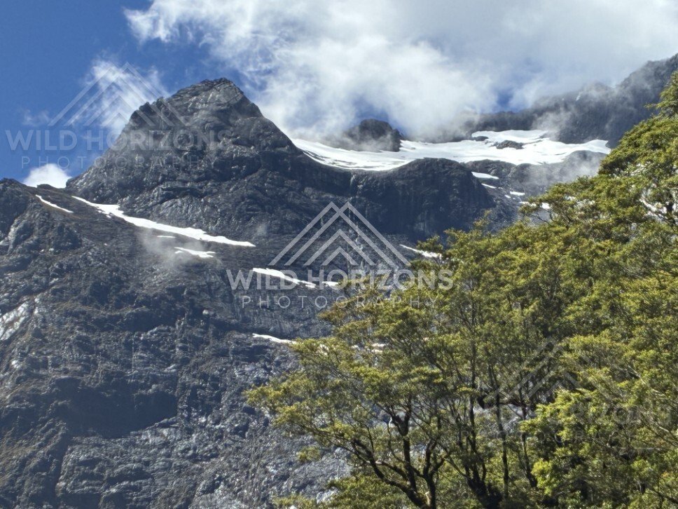Snow-Powdered Ridge and Dark Rock Face Above Forest Canopy. Milford Road, New Zealand.