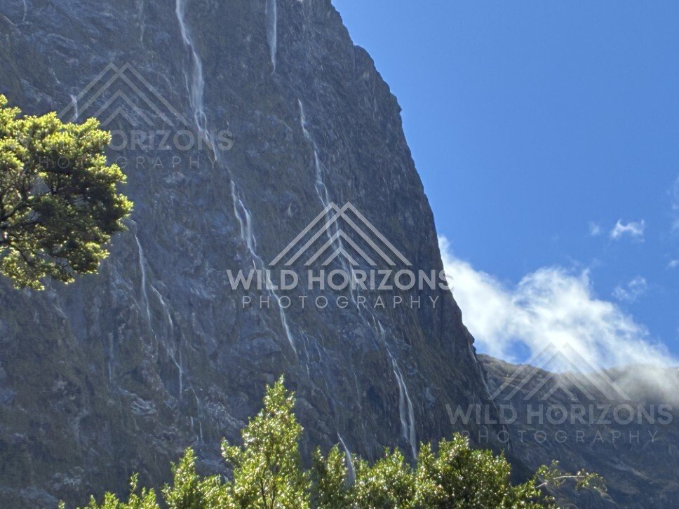 Sheer Cliff with Multiple Thin Waterfalls Against a Blue Sky. Milford Road, New Zealand.