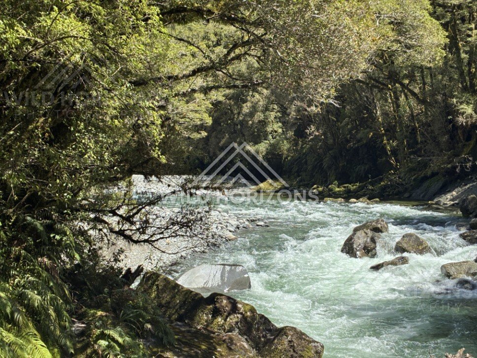 Turquoise River Rapids Through Dense Forest. Milford Road, New Zealand.