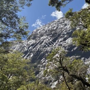 Granite Mountain Wall Framed by Forest in Sunshine. Milford Road, New Zealand.