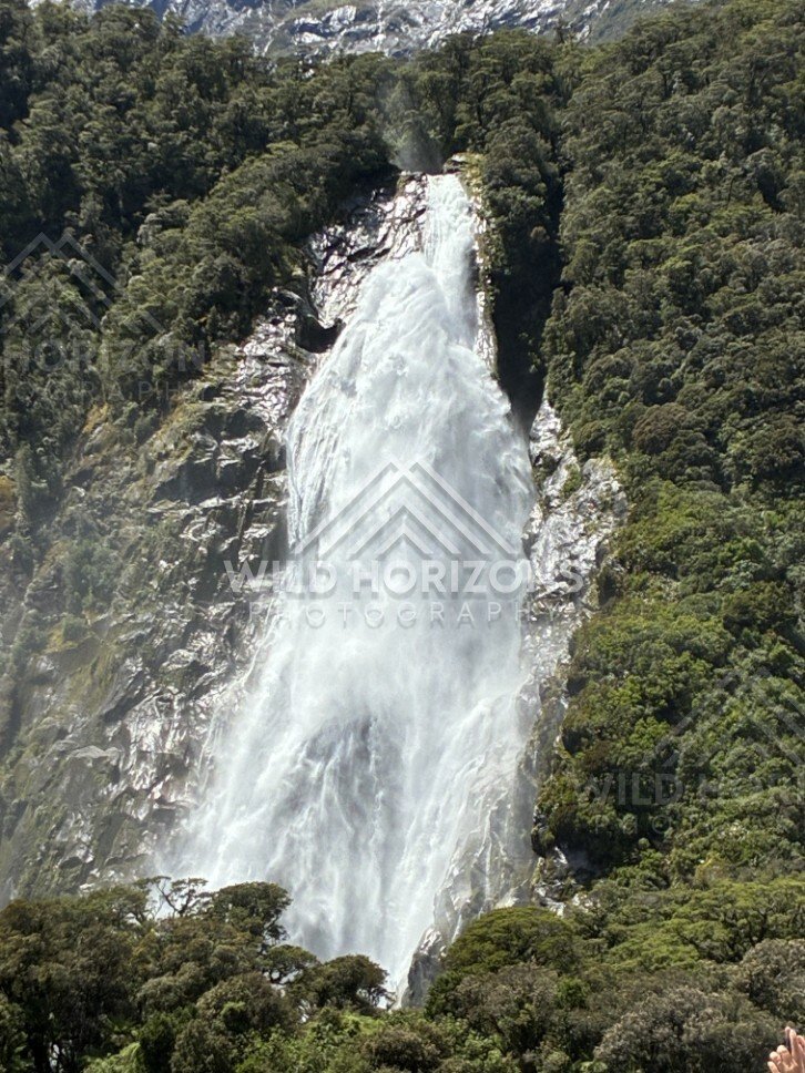 Stirling Falls Plunging Down a Forested Cliff. Milford Sound, New Zealand.