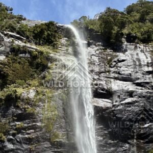 Tall Waterfall Pouring from a Cliff Edge Over Wet Rock. Milford Sound, New Zealand.