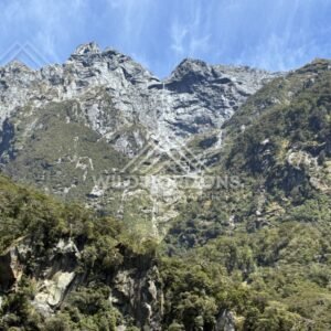 Rocky Peaks and Waterfall Threads Above Forested Slopes. Milford Sound, New Zealand.