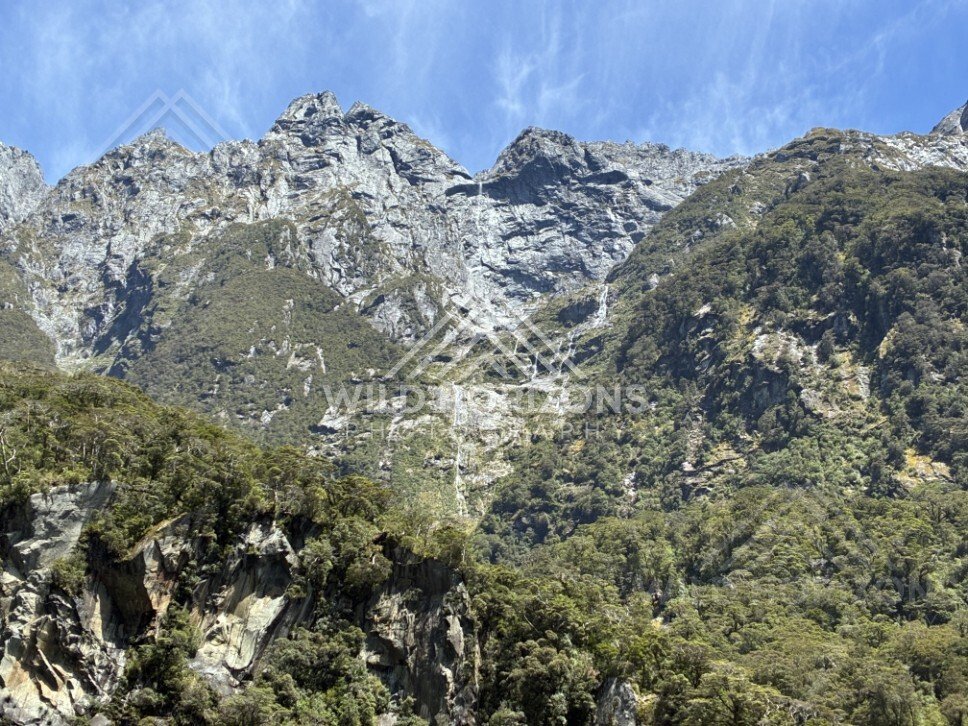 Rocky Peaks and Waterfall Threads Above Forested Slopes. Milford Sound, New Zealand.