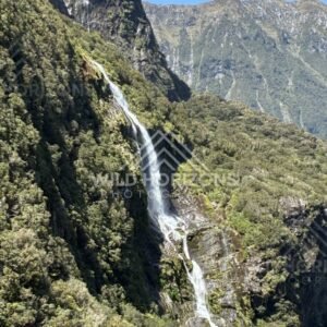 Tall Waterfall Cascading Down a Sunlit Forested Cliff. Milford Sound, New Zealand.