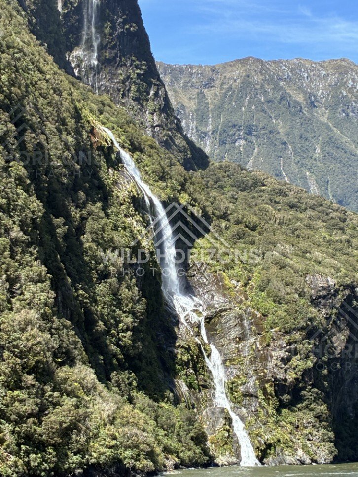 Tall Waterfall Cascading Down a Sunlit Forested Cliff. Milford Sound, New Zealand.