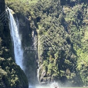 Stirling Falls Dropping in a Tall White Column. Milford Sound, New Zealand.