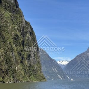 Milford Sound Waterway Beside a Steep Vegetated Cliff. Milford Sound, New Zealand.