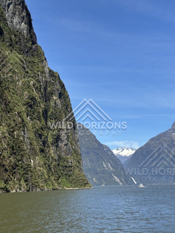 Milford Sound Waterway Beside a Steep Vegetated Cliff. Milford Sound, New Zealand.