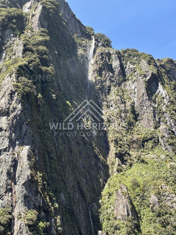 Steep Rock Wall with Waterfall Stream and Lush Vegetation. Milford Sound, New Zealand.